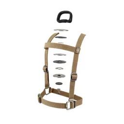 Harness with a handle