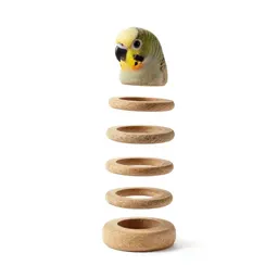 Parrot foraging toy