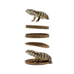 Reptile hide