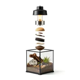 Terrarium with a heat lamp