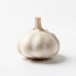 Bulb of garlic