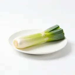Leek