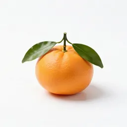 Mandarin with leaves