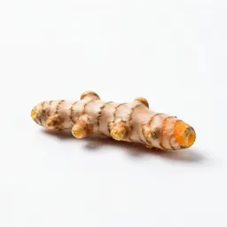 Turmeric root