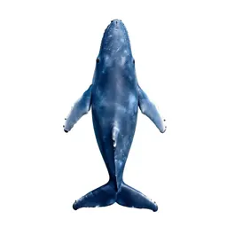Blue whale