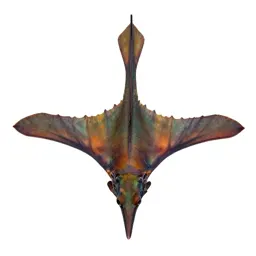 Seadragon
