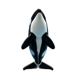 Orca breaching