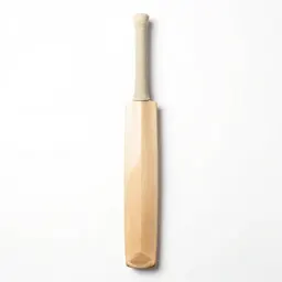 Cricket bat