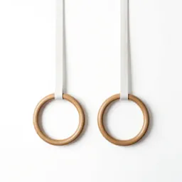 Gymnastic ring pair
