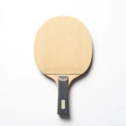 Table tennis paddle