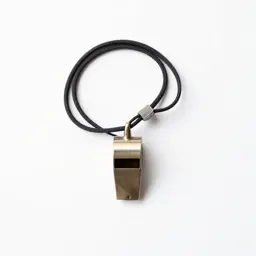 Whistle on a lanyard