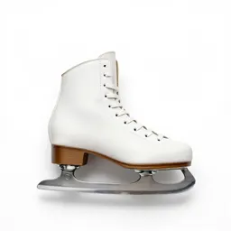 Ice skate