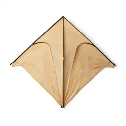 Kite