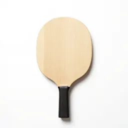 Paddle ball