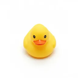 Rubber duck