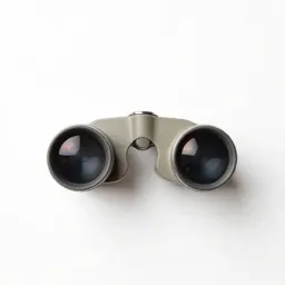 Stereoscope viewer