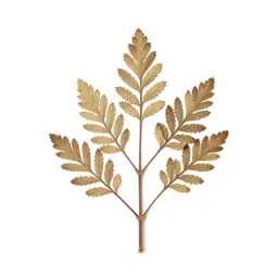 Silver beech