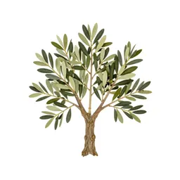 Olive tree with a gnarled trunk