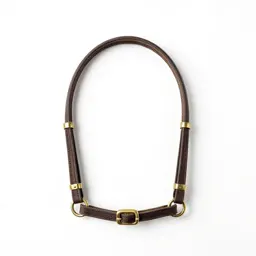 Bridle with brass fittings