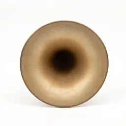 Phonograph with a horn