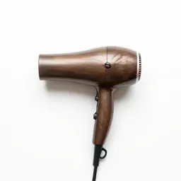 Hair dryer