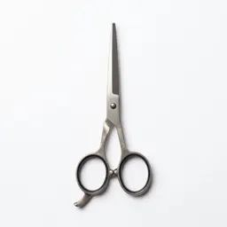 Pair of grooming scissors