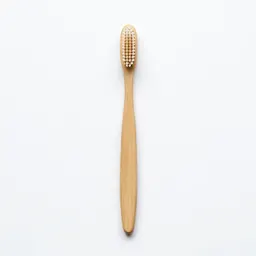 Toothbrush in a holder