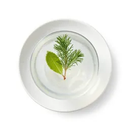 Gin and tonic with botanicals