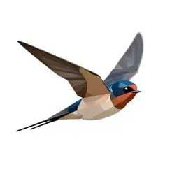 Barn swallow in flight