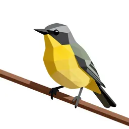 Bellbird on a branch