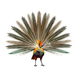 Bird of paradise displaying