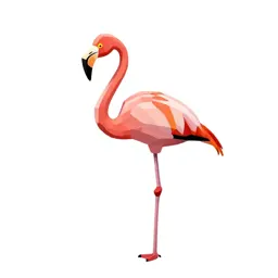 Flamingo on one leg