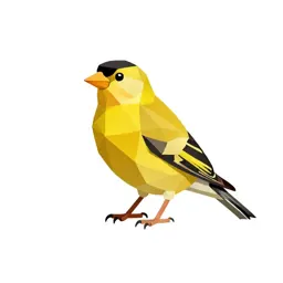 Goldfinch