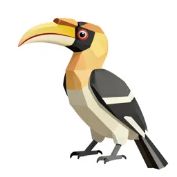Hornbill