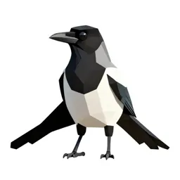Magpie