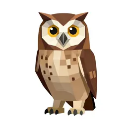 Morepork owl