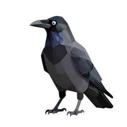 Raven