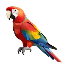 Scarlet macaw