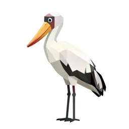 Shoebill stork