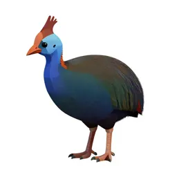 Takahe