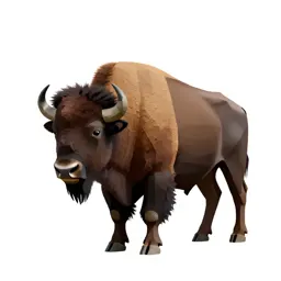 Bison