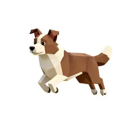 Border collie mid-leap