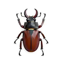 Stag beetle