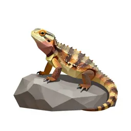 Tuatara on a rock