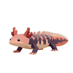 Axolotl