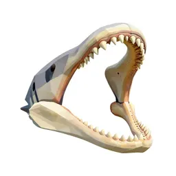 Megalodon jaw