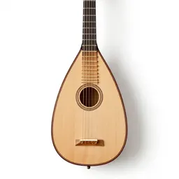 Bard's lute