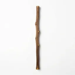 Gnarled wand