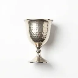 Goblet of hammered silver