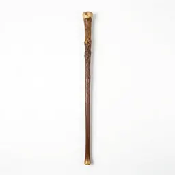 Wizard's staff